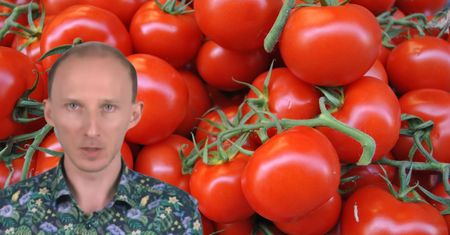 Posłuchaj dietetyka. Pomidory z tym dodatkiem to antyrakowy mocarz
