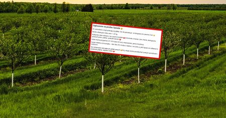 "Na prośbę sąsiada". Chce tylko 1 zł za kg. Można brać tonami