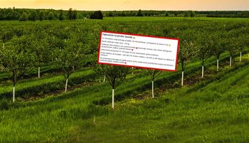 "Na prośbę sąsiada". Chce tylko 1 zł za kg. Można brać tonami