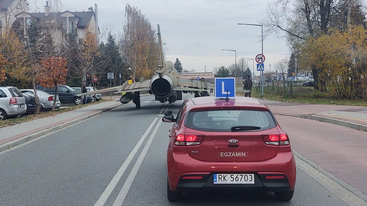 Zdjęcie ilustracyjne do artykułu