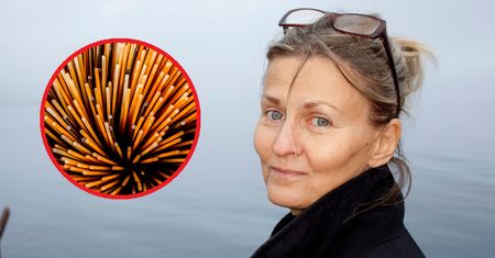 Szwedzi słyną z długiego i zdrowego życia. Jak im się to udaje?