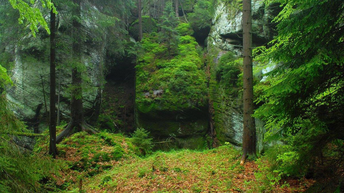 park narodowy góry stołowe