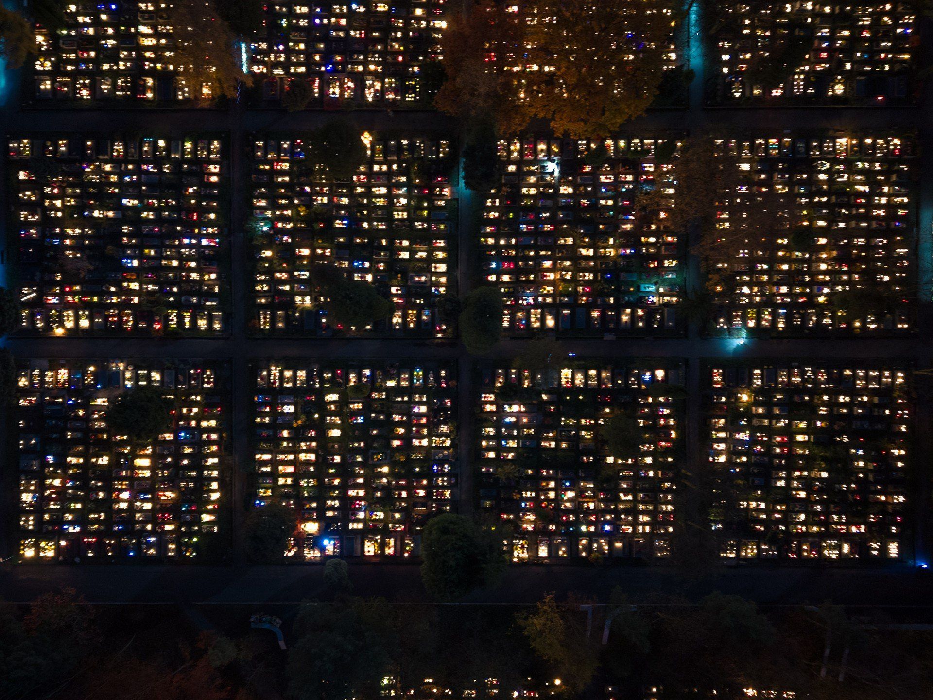 1 Listopada 2025 w Krakowie