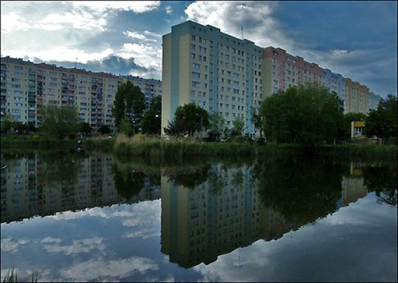 Obraz