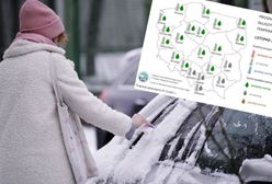 Pogoda długoterminowa. Kiedy przyjdzie zima?