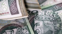 Złoty będzie umocniony? Ekspert: Nie jest tak, że NBP jest bezbronny