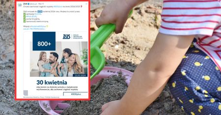 800 plus. ZUS przypomina o ważnym terminie. Wypłaty mogą zostać wstrzymane