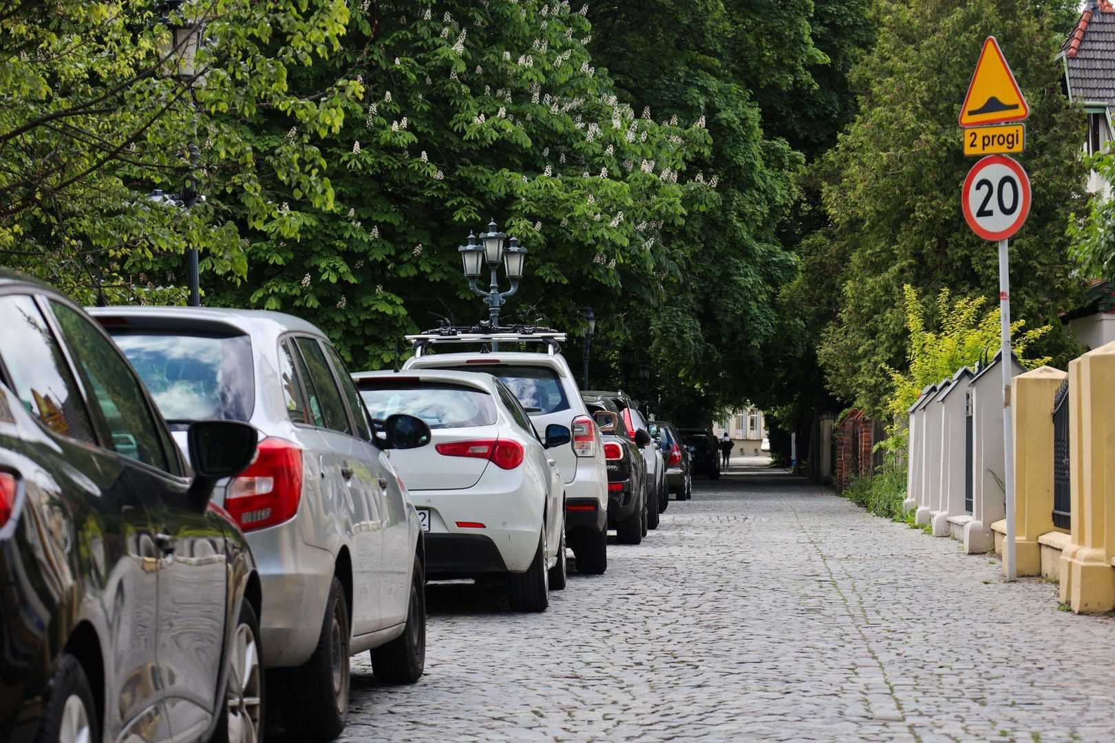 Auta, mimo usunięcia przez ratusz miejsc parkingowych na al. Pod Kasztanami, nadal tam parkują. 