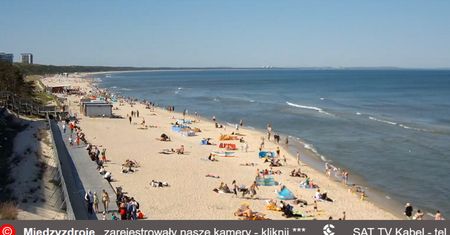 Już są. Kamera na plaży przyłapała ich z samego rana