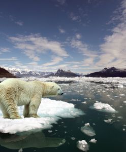 Okrągły Stół dla Edukacji Klimatycznej w Polsce. "Postarajmy się, by Polska nie zginęła, póki my żyjemy"