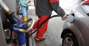 Ceny paliw w Małopolsce idą w górę. Nie wszędzie tak samo. W Nowym Targu płacimy już prawie 8 zł za litr oleju napędowego