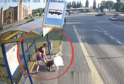 Nagranie przerażającego pobicia na przystanku autobusowym. Straż Miejska: brutalna pomyłka