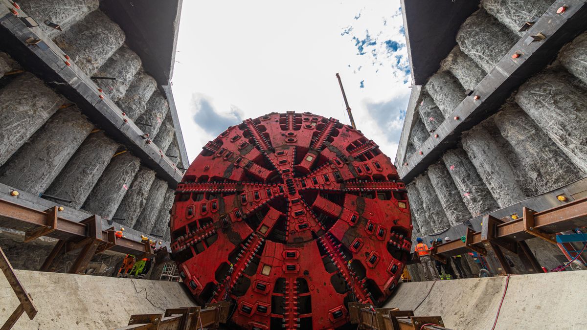 Stokrotka już w akcji