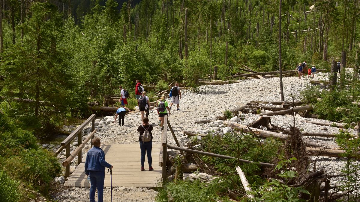Technologia Muska w Tatrach. Starlinki usprawnią ruch turystyczny