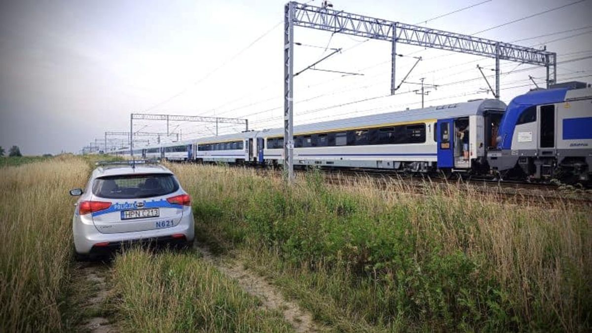 Pociąg relacji Kołobrzeg - Łódź zatrzymał się na środku pola