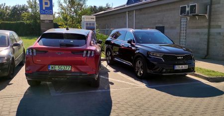 4 tys. zgłoszeń. Pan Roman z Łodzi "uprzejmie donosi"
