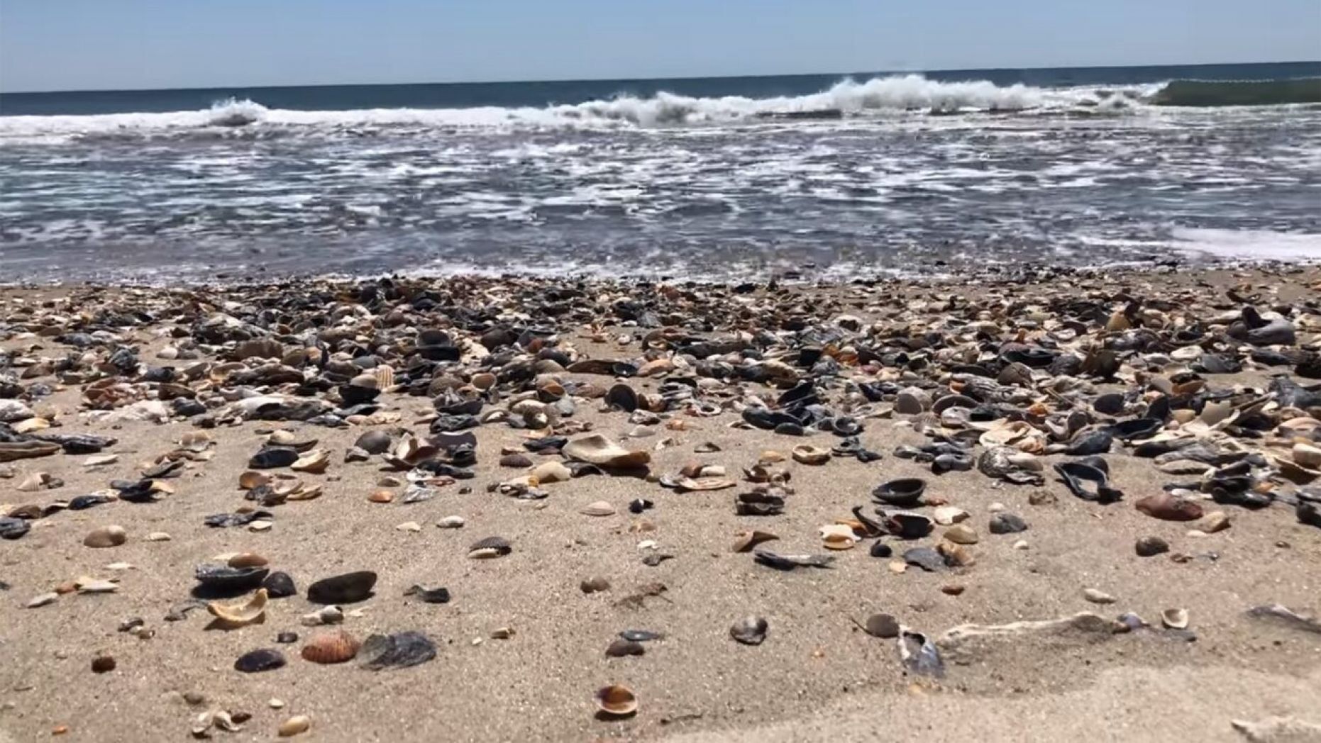 Plaża w Karolinie Północnej (USA). 