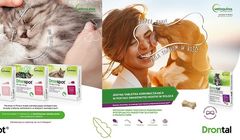 Hand Made wygrywa przetarg marek Drontal i Dronspot