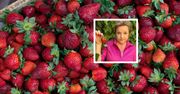 Zrób to przed zjedzeniem truskawek. Katarzyna Bosacka poleca