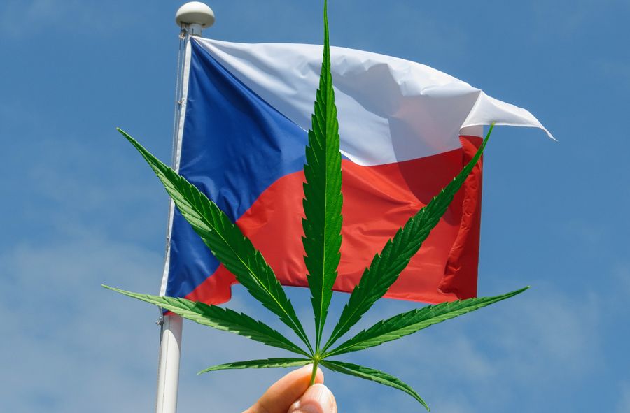 Czechy na drodze do legalizacji marihuany