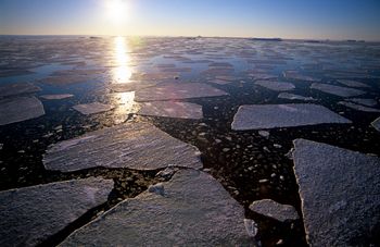 Antarktyda w krytycznym punkcie. "Katastrofalne konsekwencje"