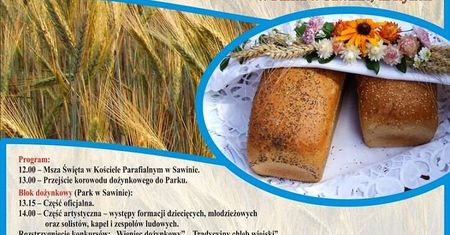 Dożynki Gminy Sawin 2019. Gwiazdą imprezy będzie zespół Malibu