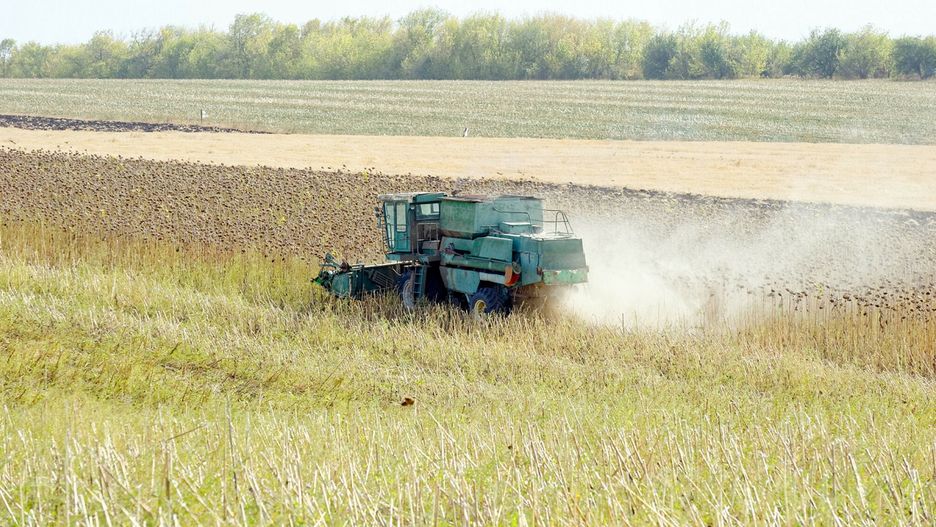 Ukraiński wywiad ustalił, gdzie znajduje się zboże skradzione przez Rosjan. Zdjęcie ilustracyjne 