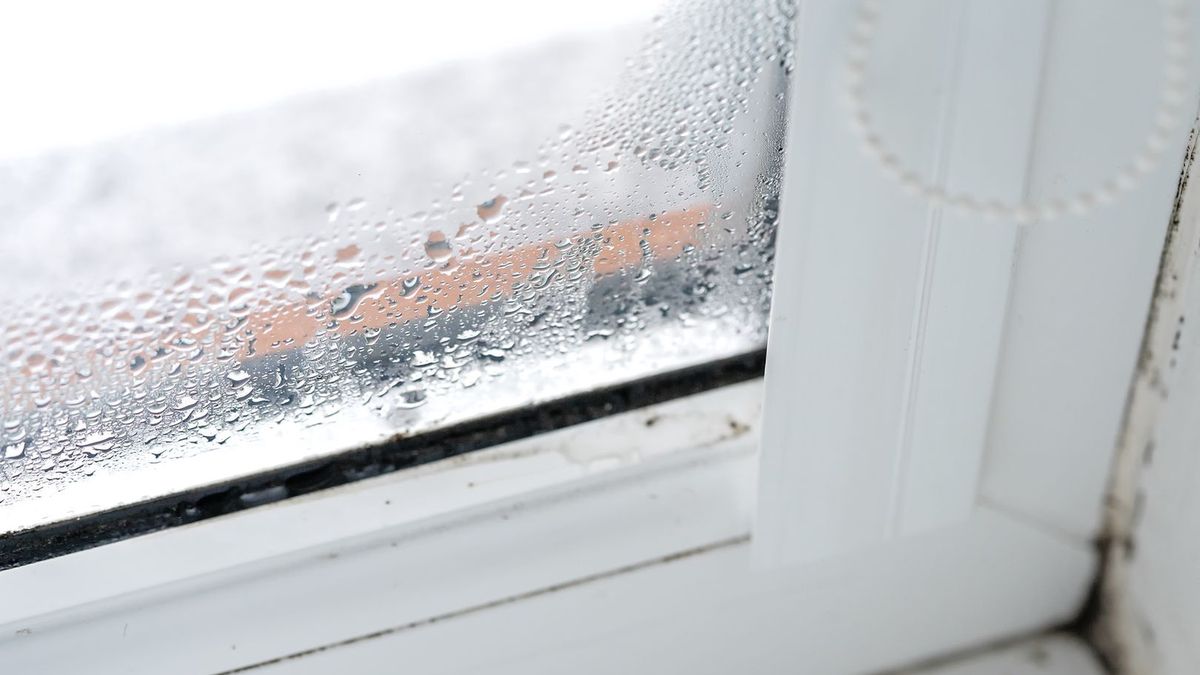 Jak pozbyć się wilgoci?