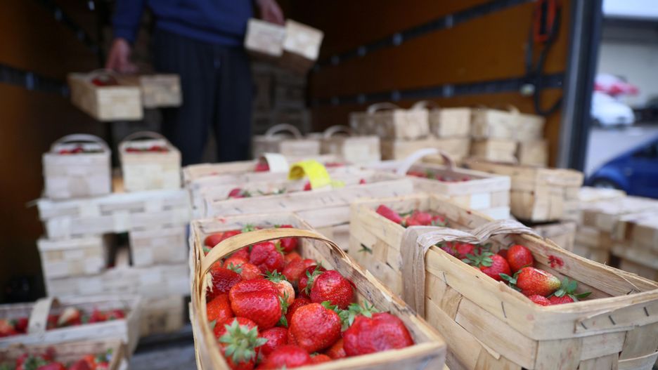 Marokańskie truskawki, które pojawiły się w polskich sklepach, mogą być niebezpieczne