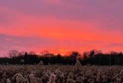 Pogoda. Wrocław. 27 kwietnia - wiosna nadchodzi niemrawo. W czwartek zrobi się ciepło, ale na krótko