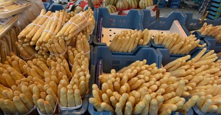 Polskie szparagi już na rynku. Cena za kilogram może zdziwić