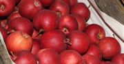 Ceny jabłek deserowych w hurcie na koniec listopada: rozstrzał coraz większy