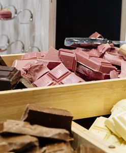 Gigant zwalnia w całej UE. Ma dużą fabrykę w Polsce