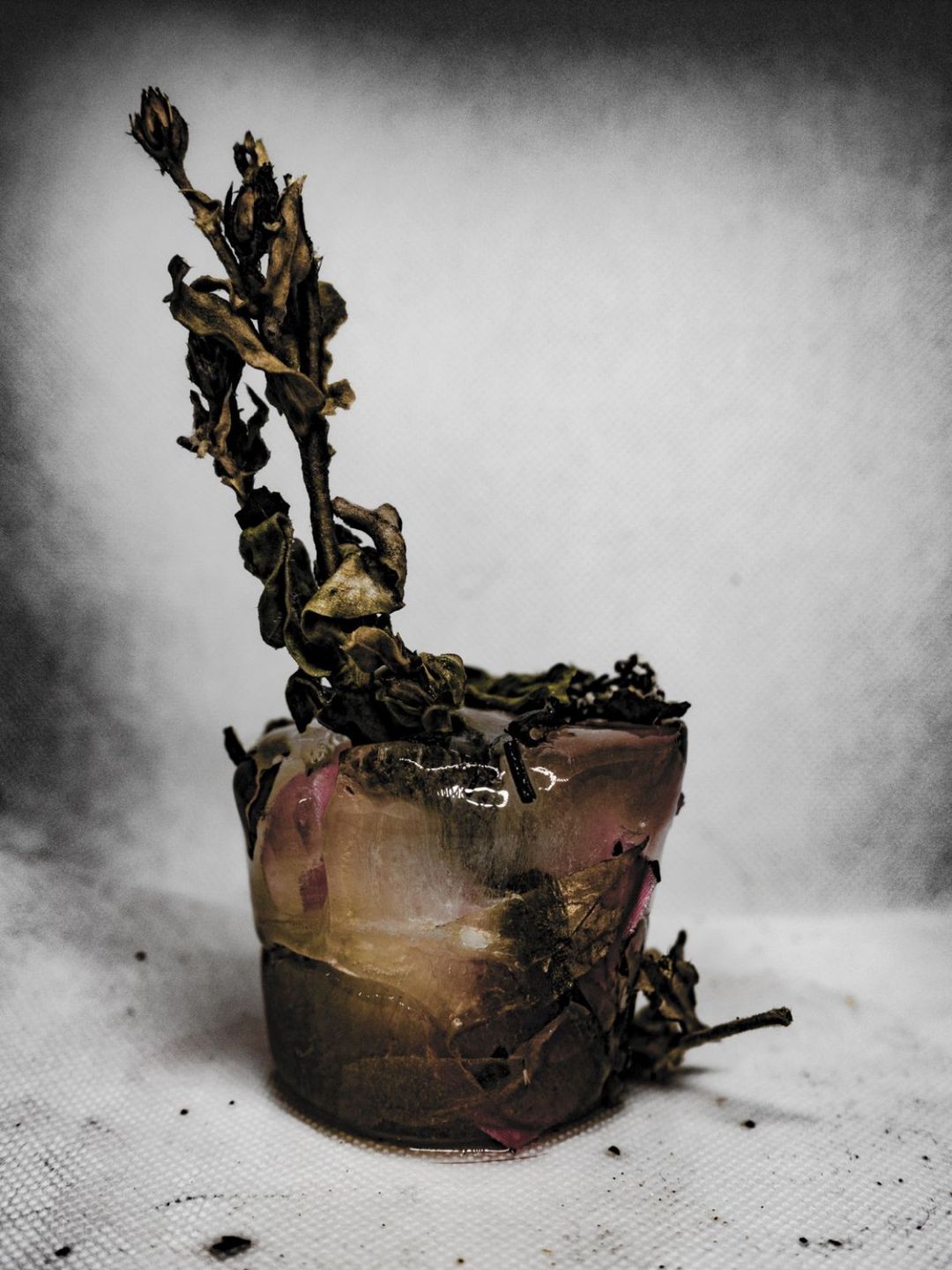 Projekt "Cryogenia".