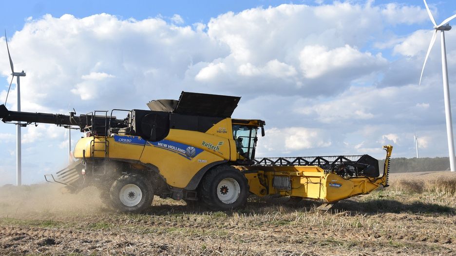 Kombajn podczas zbioru rzepaku