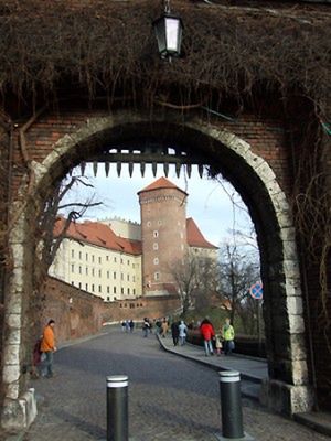 Obraz