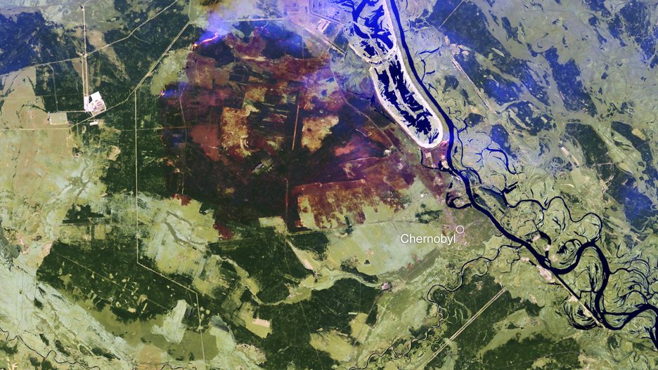 Ukraina. Ugaszenie pożaru w strefie czarnobylskiej potwierdzono w oficjalnym komunikacie