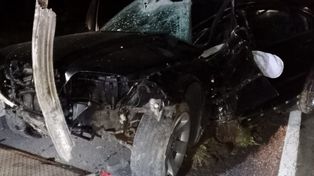 Chojnów: Ranny kierowca. Chciał ominąć przebiegające zwierzęta