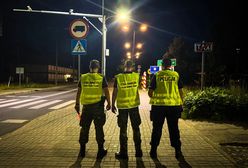 Co zrobimy, jak Niemcy przyślą migrantów? Straż Graniczna wyjaśnia procedurę