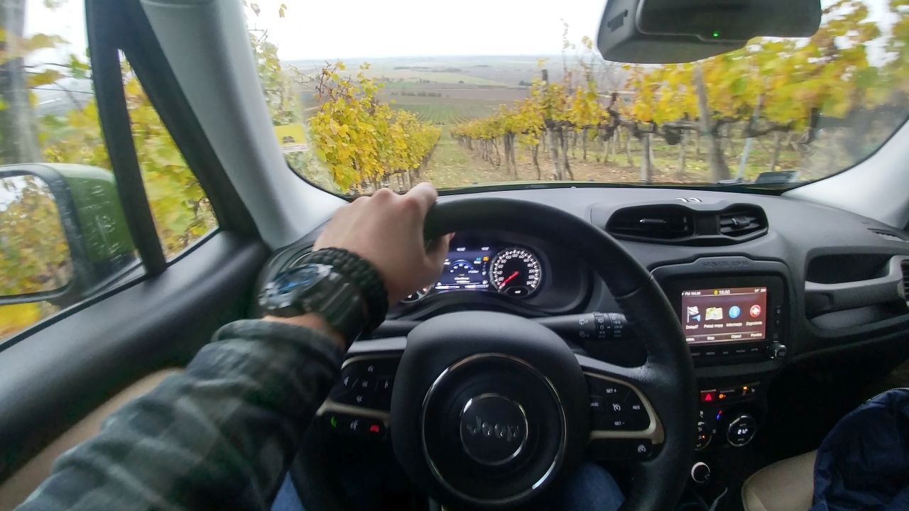 Obraz