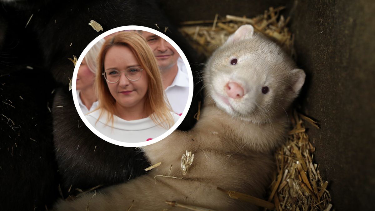 Małgorzata Tracz z Zielonych