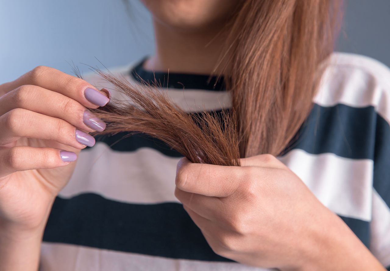 Avocado oil works wonders on damaged ends