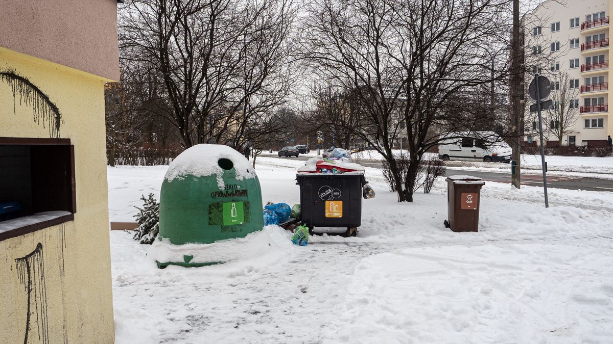Kradną kontenery na śmieci. Na zdjęciu są widoczne kontenery na odpady bio, a także na szkło oraz metale i tworzywa sztuczne. Brakuje natomiast na papier i śmieci zmieszane.