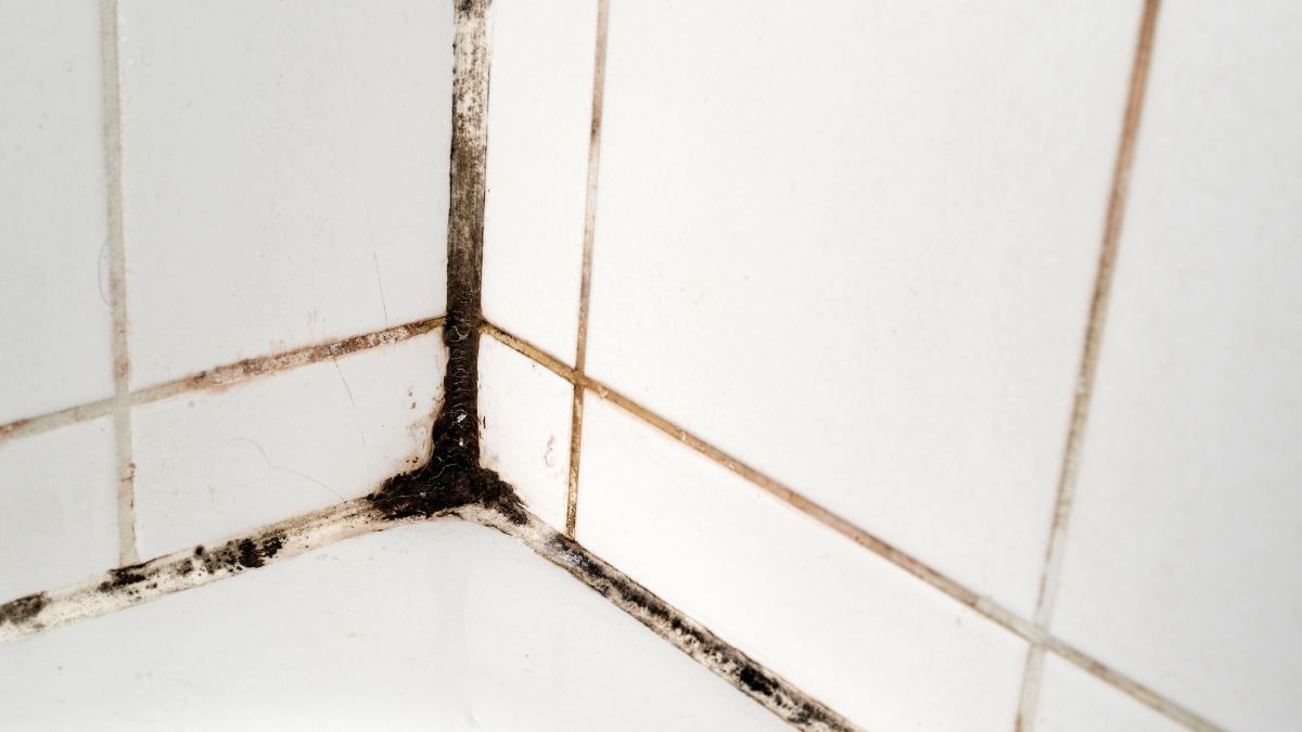 Jak wyczyścić silikon w łazience?