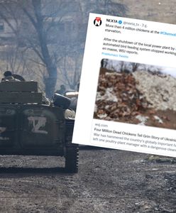 Największa na świecie ferma drobiu zniszczona. "Padło 4 mln ptaków"
