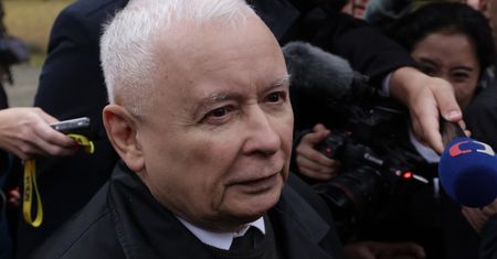 Rosati ostro o Kaczyńskim. Zwykły obywatel zapłaciłby karę?