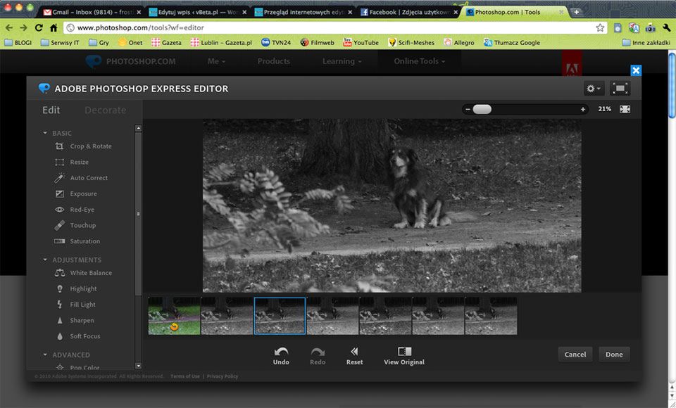 Najlepsze programy graficzne online [TOP 7] 7