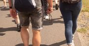 Myślisz, że pielgrzymka nic nie kosztuje? Kwoty na Jasną Górę zaskakują