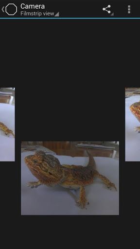 Weekendowy Zestaw Gier i Aplikacji: świetne Anomaly Korea, przydatny klient 4Shared i SnapCamera 27