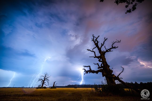 Rogalin widok na stare kilkusetletnie dęby, otwarta polana, brak deszczu. Canon 5D Mark III, Samyang 14 mm f/2.8, ISO 320, F/8 (manualny obiektyw nie przenosi informacji o przysłonie do exifa, wartość F z pamięci) T 20 s.